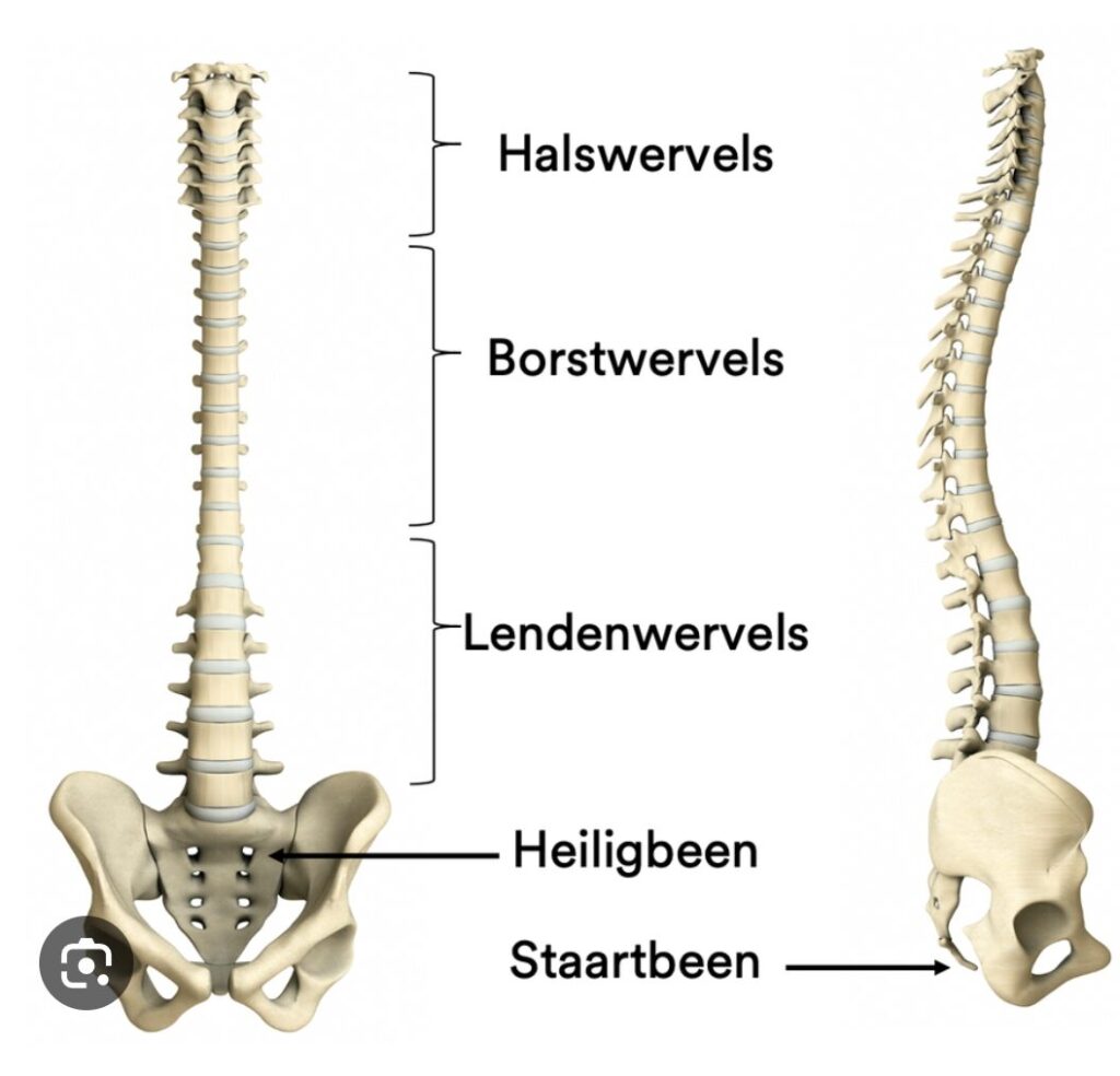 Deze afbeelding heeft een leeg alt-attribuut; de bestandsnaam is Screenshot_20230902_103815_Chrome-e1693823793438-1024x984.jpg